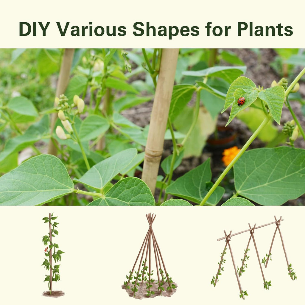 30pcs Bamboo Stakes 4FT, 1/2" D Thicker Garden Stakes Multi-Purpose, Plant Stakes for Tomatoes, Beans, Cucumbers