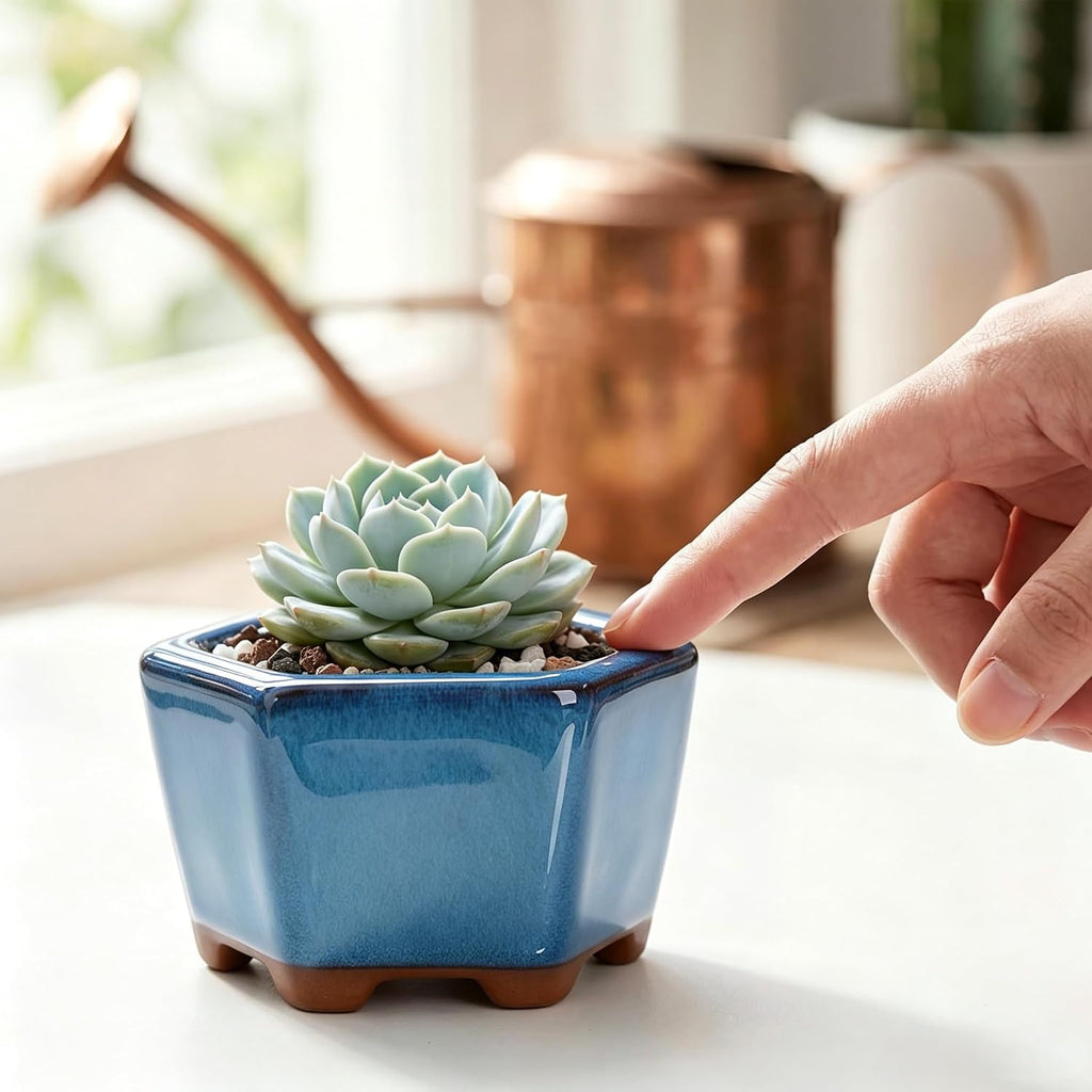 6 Pack Bonsai Pot Planter, 3" 4" Ceramic Glazed Succulent Pots | Small Succulent Planters with Drainage, Training Pot