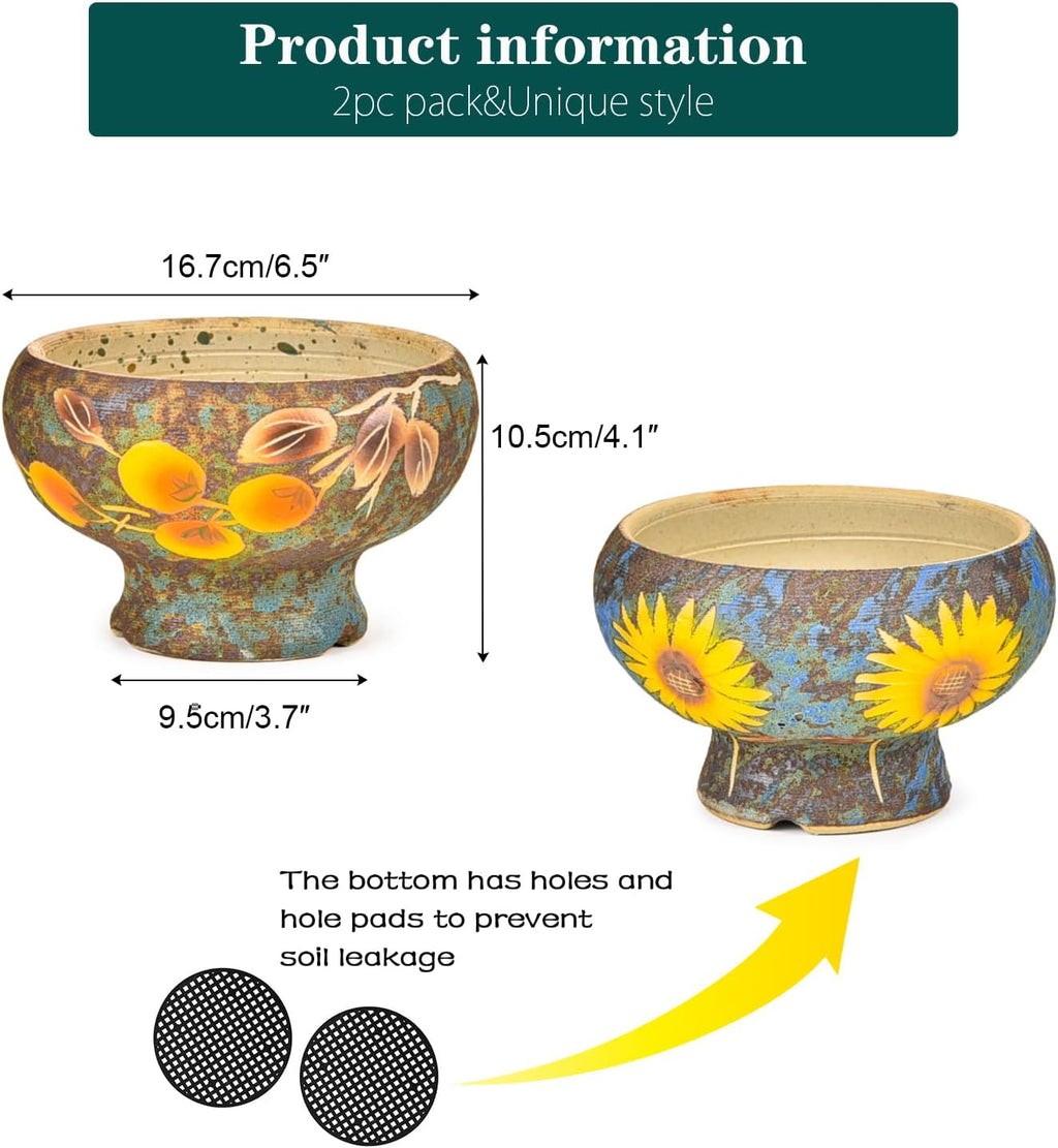 Sungmor Small Succulent Planters Set of 2, Beautiful Hand Crafted Ceramic Plant Pots Cute Cactus Pot, 6.5 Inch Flower
