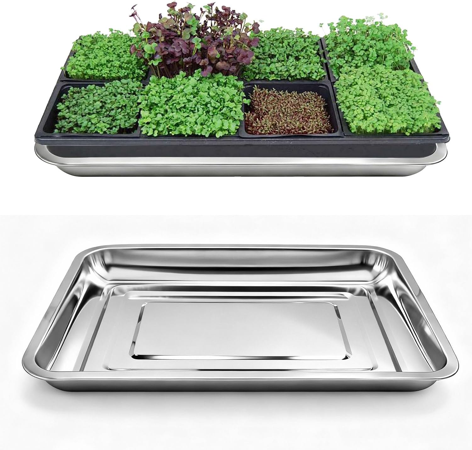 10-Pack 16 Inch Stainless Steel Growing Trays, Heavy-Duty Metal Sprouting Tray for Plants, Stainless Steel Plant