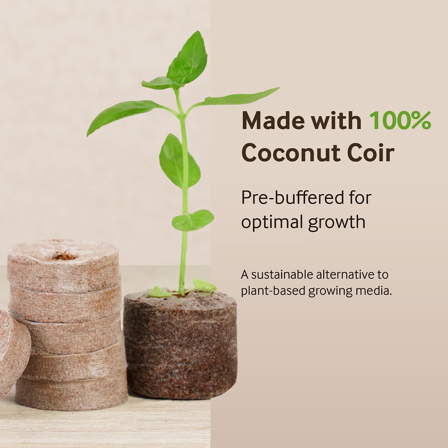 PlantBest 72 Coconut Coir Pellet Seed Starting Greenhouse Kit – 35mm Peat-Free Pellets, All-in-One Seed Starter Tray