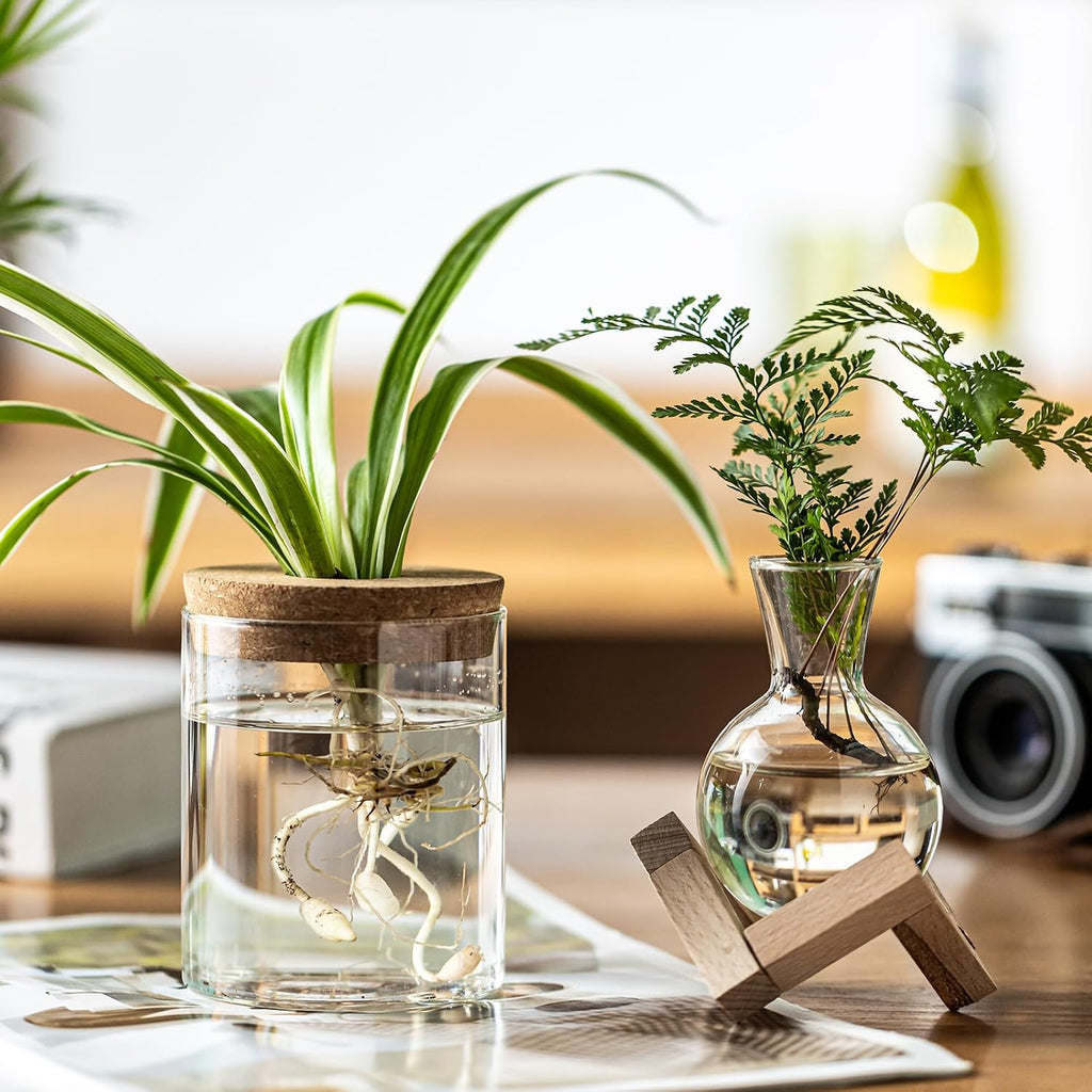 Plant Propagation Station, 2 Style Glass Planter Terrarium Set for Hydroponic Plants | Home Office Tabletop Decor