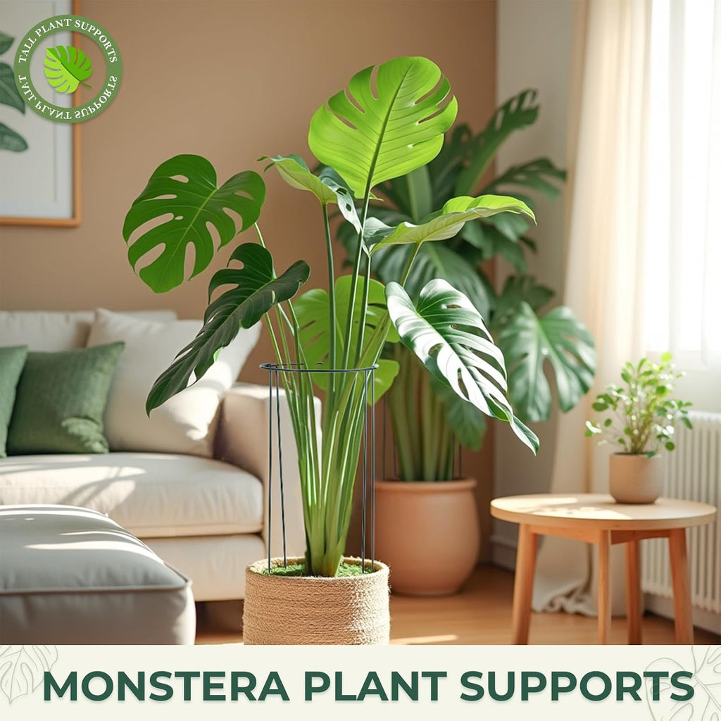 LEOBRO Plant Support, 8 PCS Peony Cages and Supports, Metal Plant Stakes, Plant Supports for Indoor Plants, Outdoor