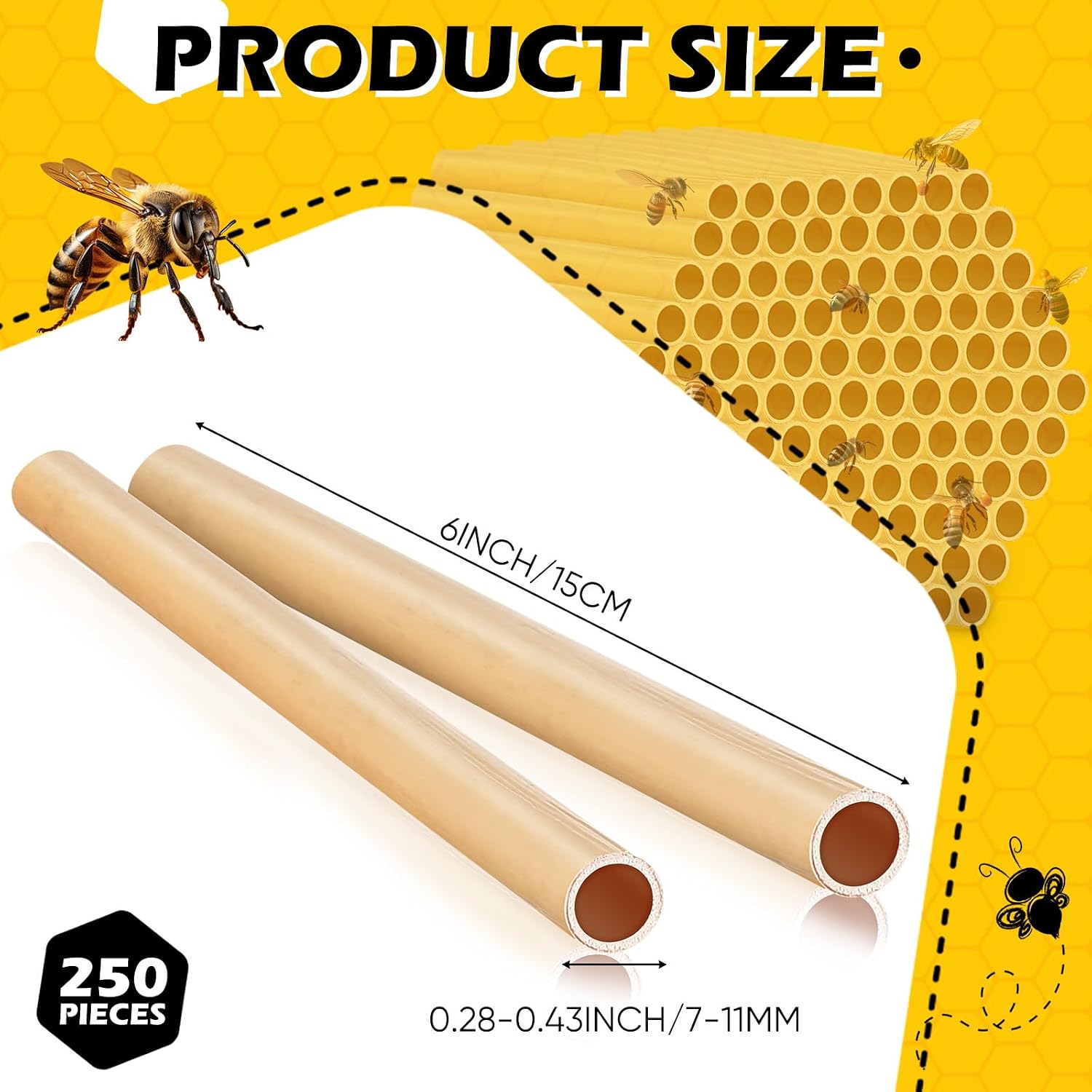 Tinideya 250 Pcs Phragmite Reed Mason Bee Tubes Set Bee Hotel Nest Box Pollinator Bee Box for Mason Bee Houses Natural