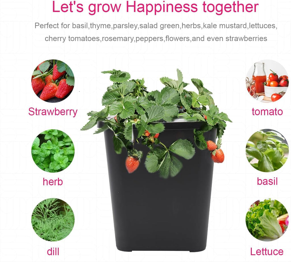 DWC 2 Hydroponic Buckets Kit for Plants, Hydroponics Growing System for Herbs/Tomato/Vegetables, DWC System with Air