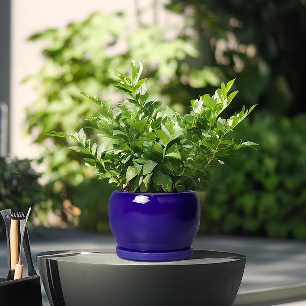 SQOWL Ceramic Planters for Indoor Plants - 6 Inch Plant Pot with Drainage Hole and Saucer, Round Small Planter, Modern