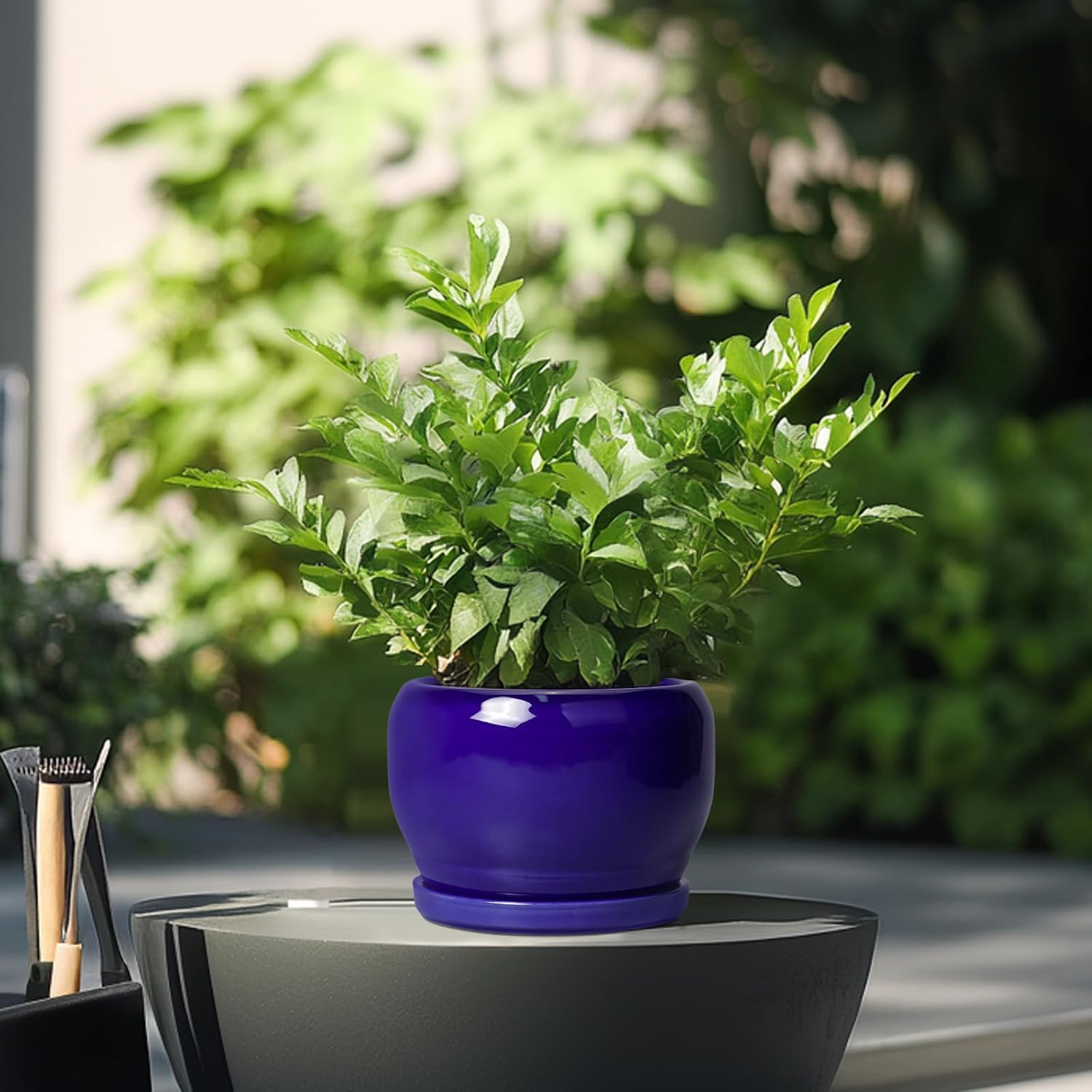 SQOWL Ceramic Planters for Indoor Plants - 6 Inch Plant Pot with Drainage Hole and Saucer, Round Small Planter, Modern