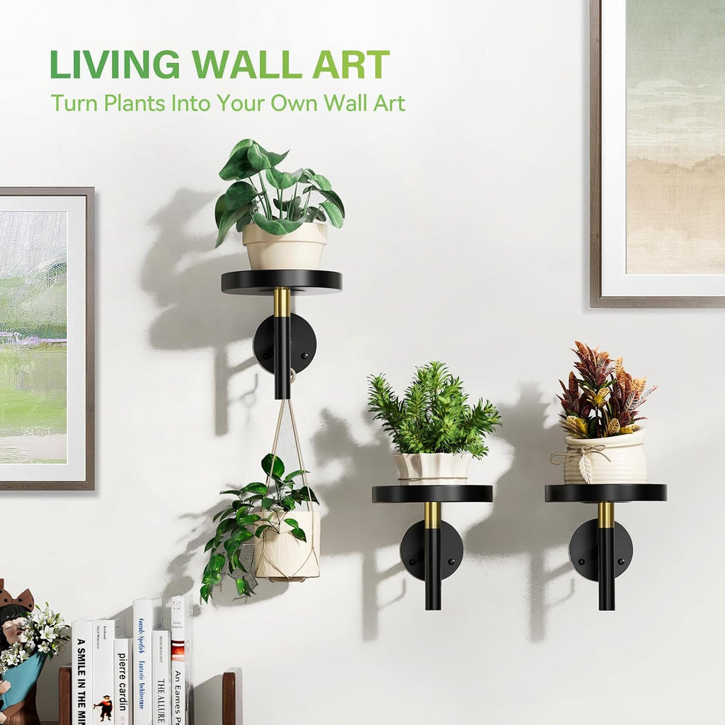 DELLAN Wall Plant Holder, 3 Pack Metal Stand, BlackGold | Hanging Shelves, Indoor Plants, Window Sill Decor, Multi-Room