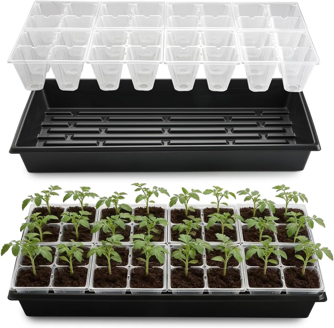 RooTrimmer 5 Pack Heavy Duty 1020 Trays and 40 Pack Clear 4 Cell Seed Starter Trays with Large Drainage Holes, Easy