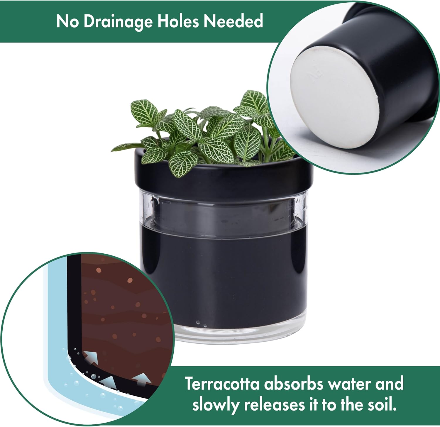Phoenix Vine 4 Inch Self Watering Planter Pot, Black Terracotta Clay Pot with Glass Reservoir for Indoor Plants, Herbs