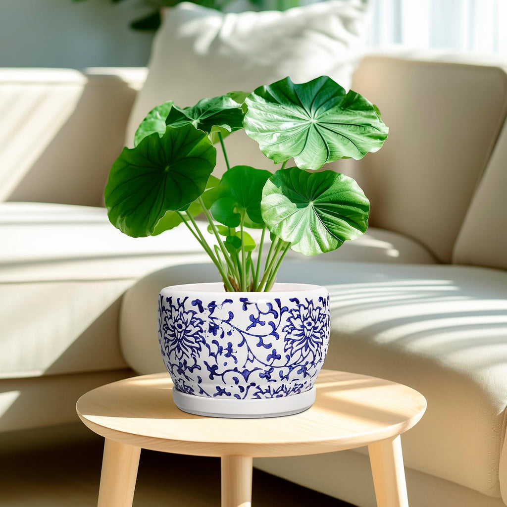 SQOWL Ceramic Pots for Plants - 8 inch Ceramic Planter with Drainage Hole and Saucer, Round Flower Pots for Indoor