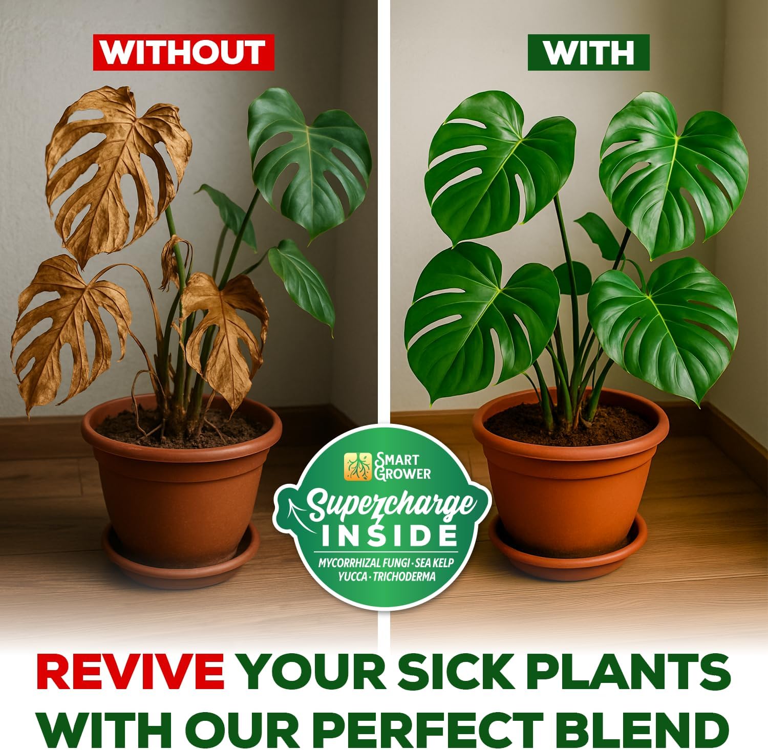 Organic Potting Soil for Indoor Plants, Living Soil, Ready to Use, 3 LB | Boost House Plant Growth for Monstera, Fiddle