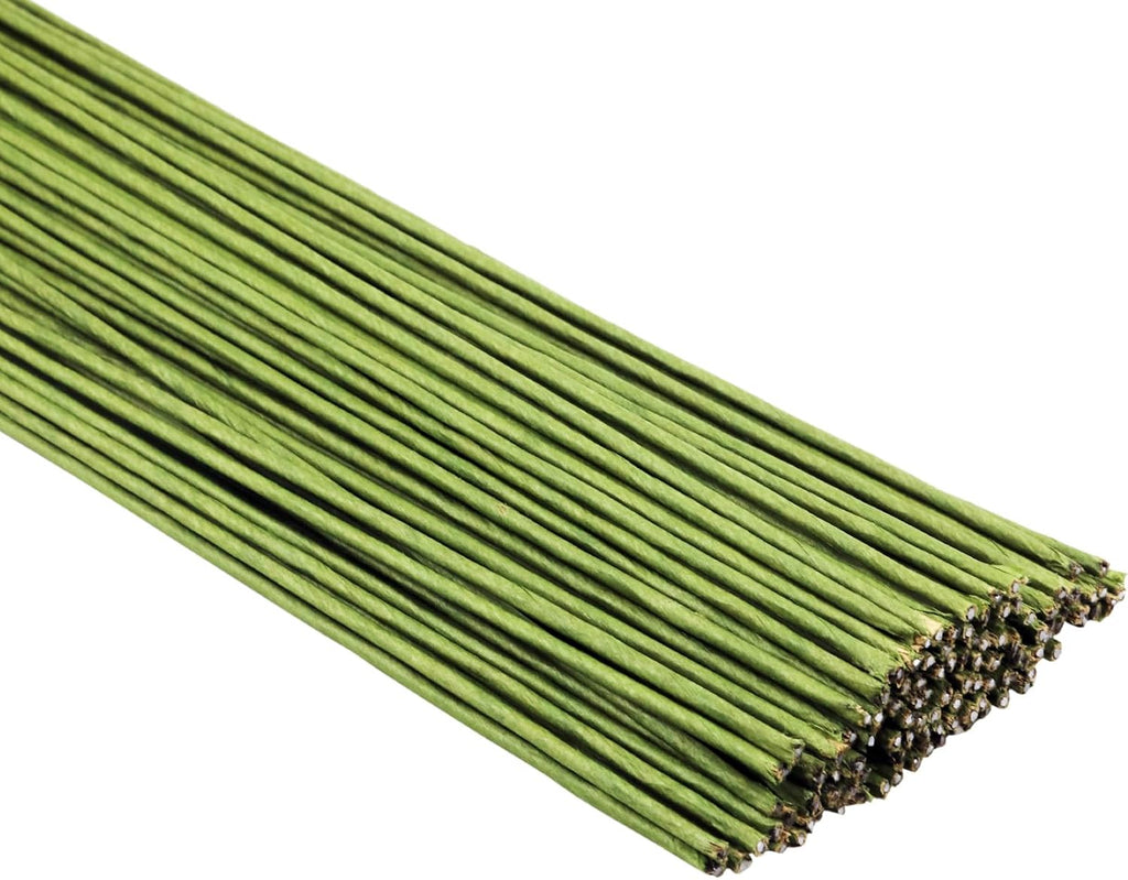 50 PCS Floral Wire 2 Gauge Green Floral Paper Wrapped Wire 16 inch/40cm Crafts Florist Stems for Flower Arrangement Supplies Crafts Bouquet Stem Wreath Making (Diameter 2mm)