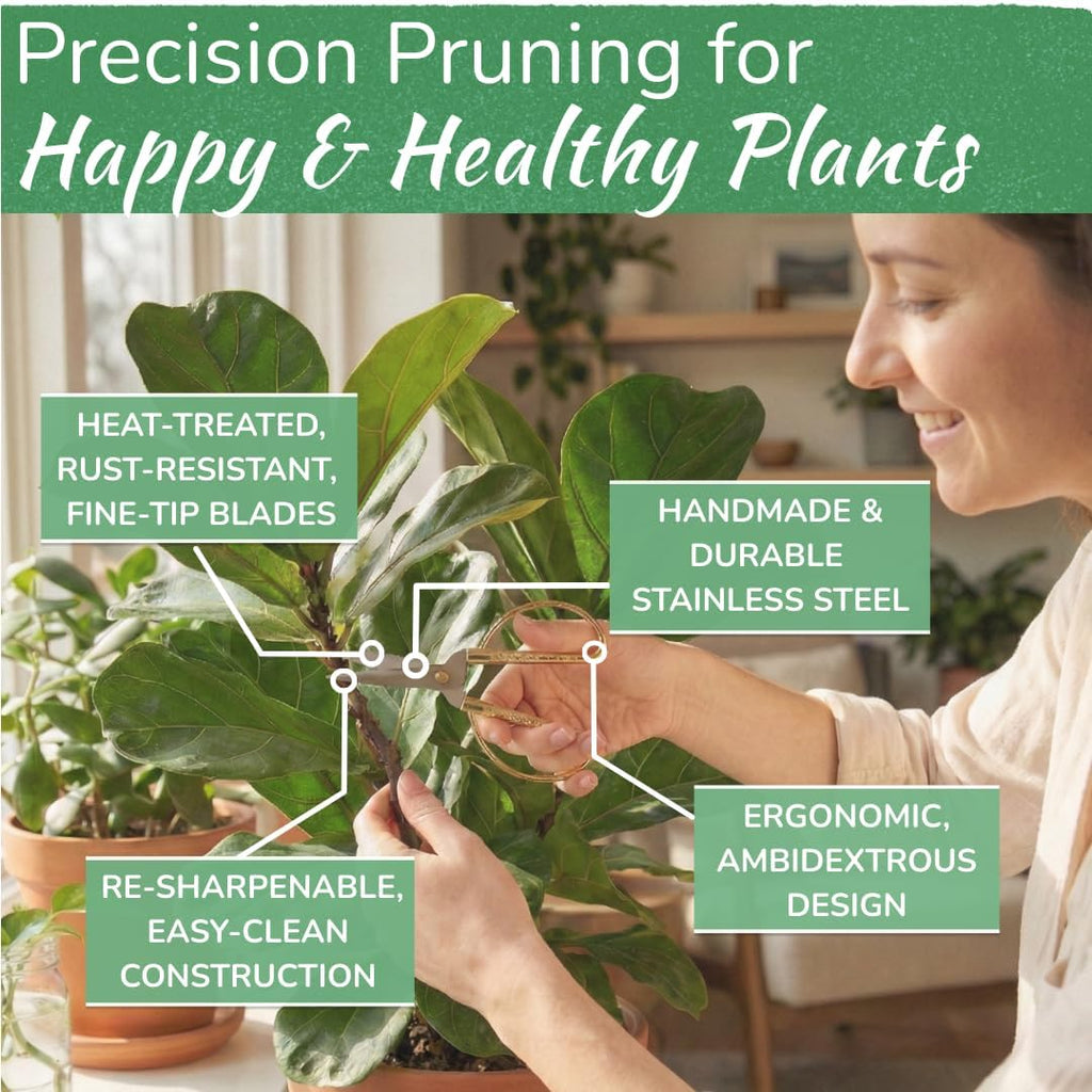Houseplant Pruning Shears, Stainless Steel Scissors for Trimming & Notching