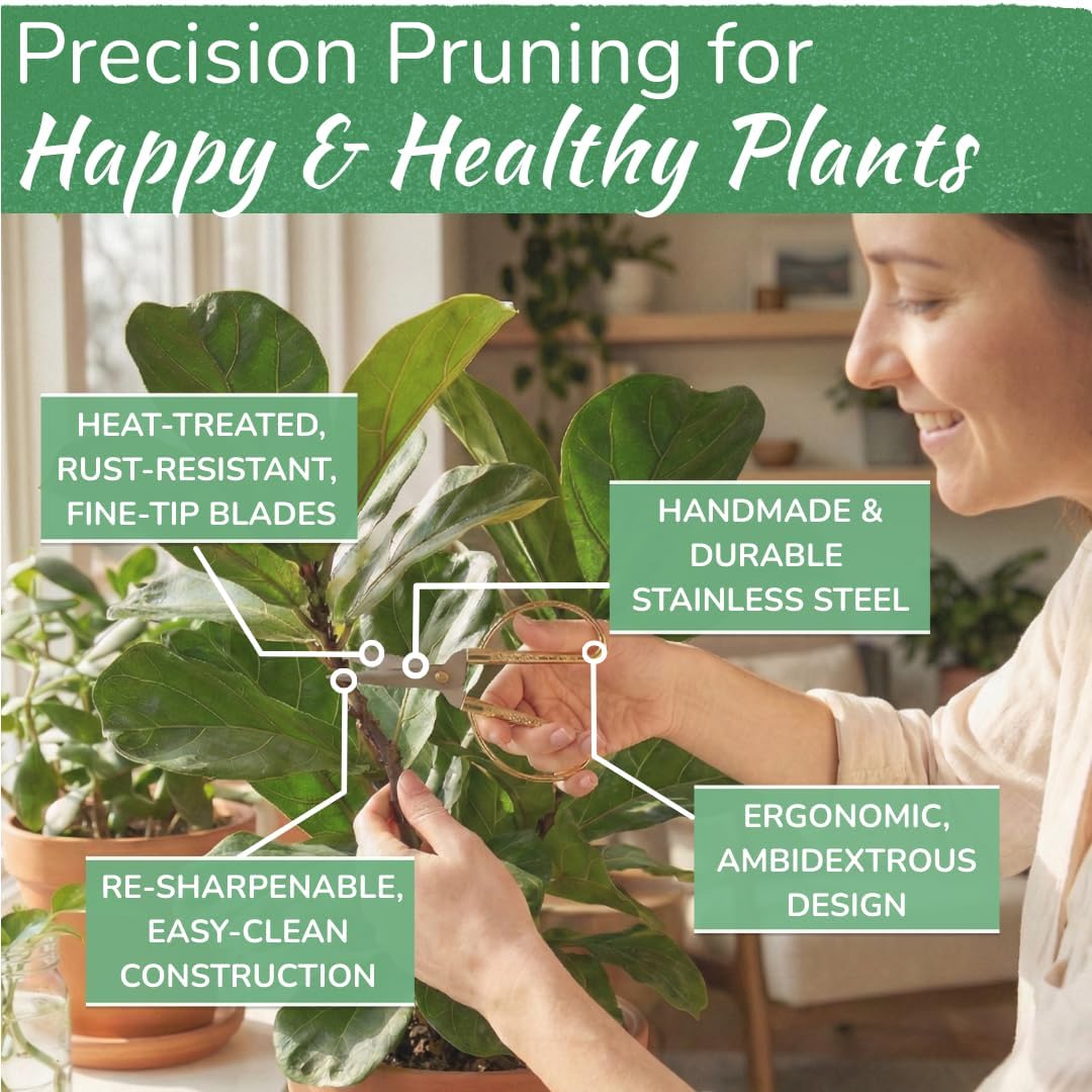 Houseplant Pruning Shears, Stainless Steel Scissors for Trimming & Notching