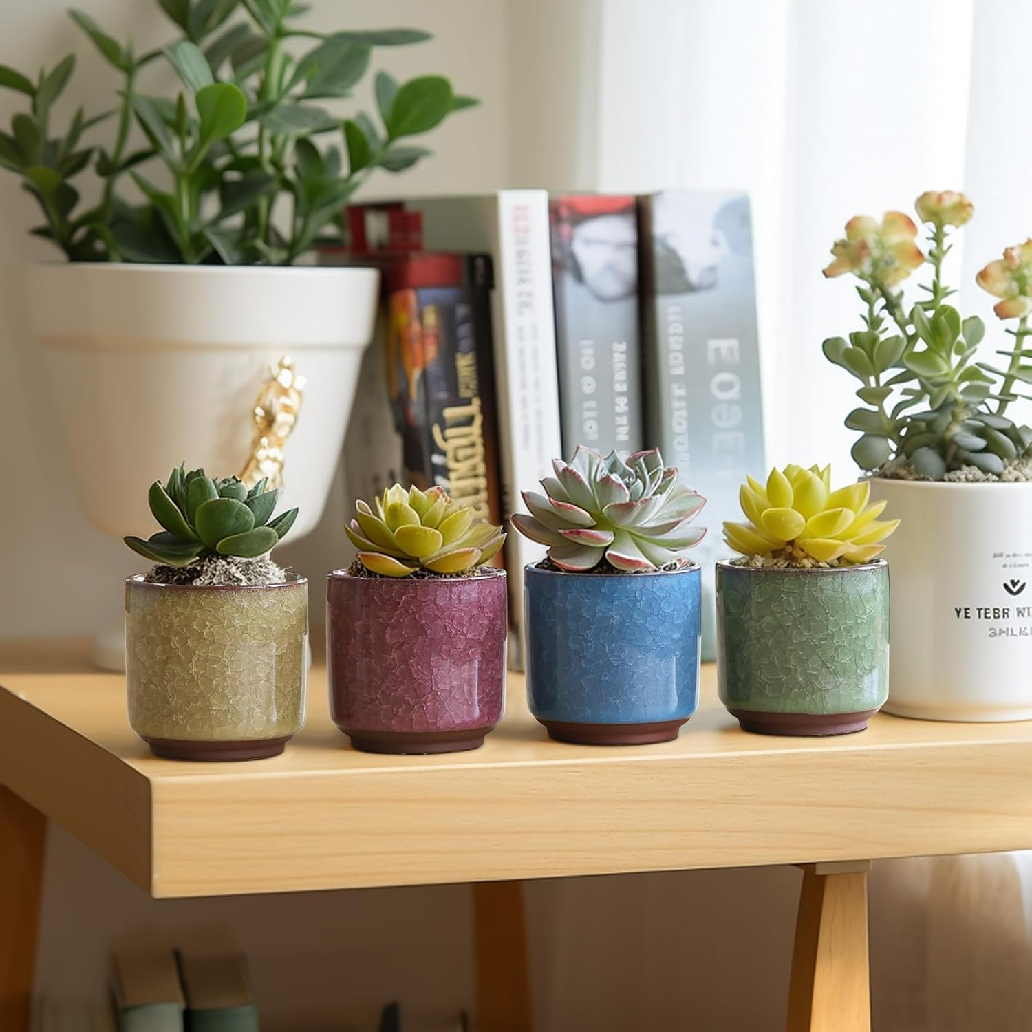 T4U 2.5 Inch Small Ceramic Succulent Planter Pot with Drainage Hole Set of 12, Ice Crack Glaze Plant Container for