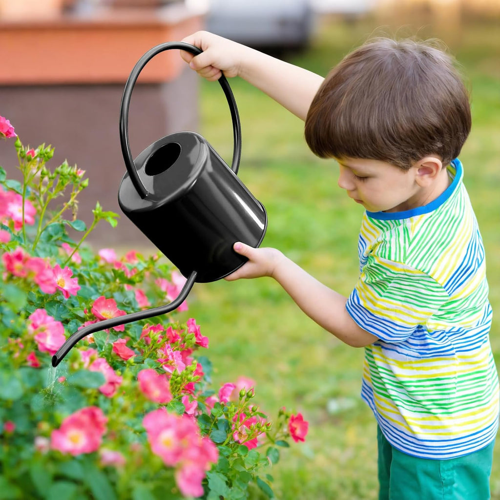 Plant Watering Can, 50 oz / 1500 ml Stainless Steel Metal - Modern Decorative with Long Spout for Indoor Potted Plants