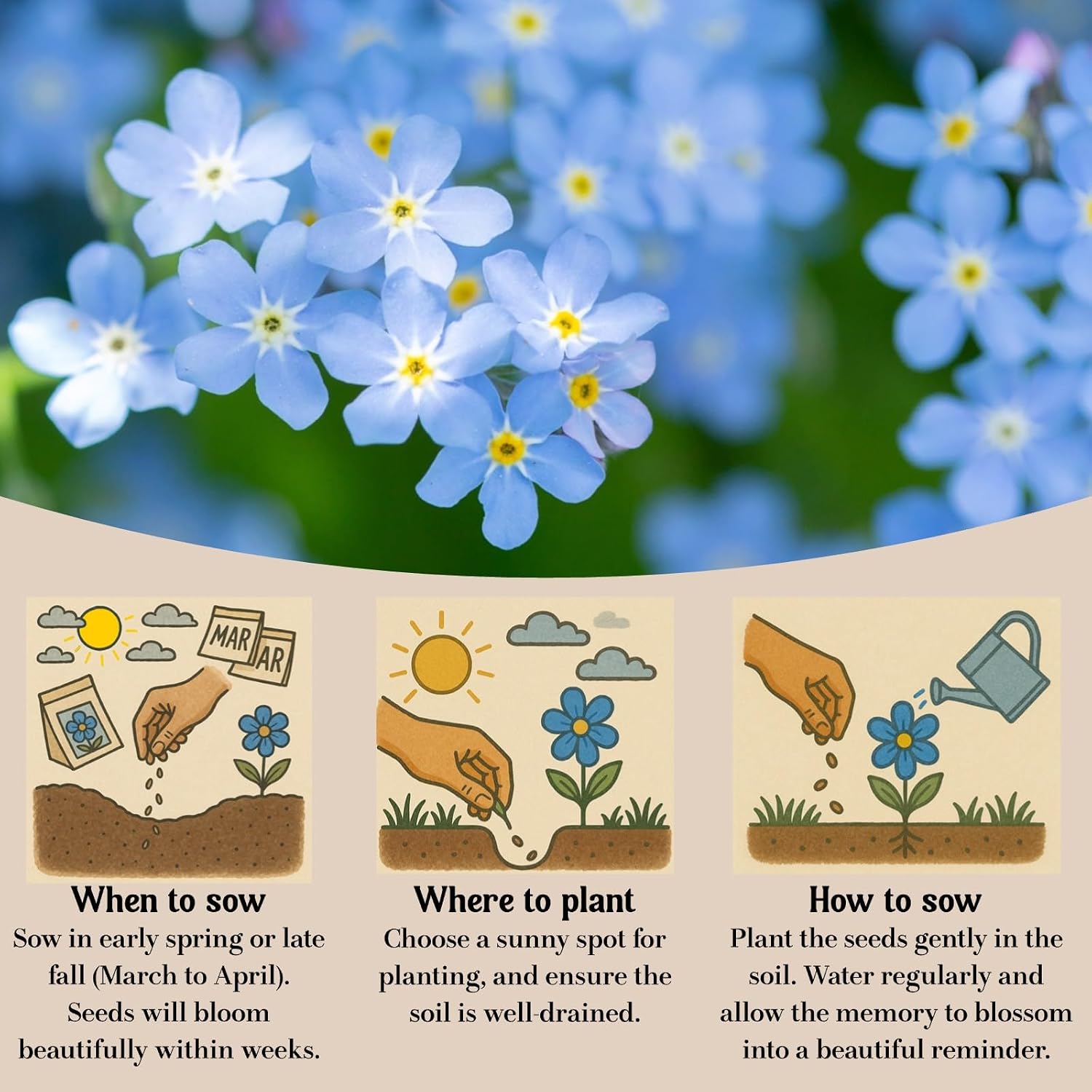 120 Pack Forget-Me-Not Flower Seed Packets for Memorial Services | Printed seed envelopes with poem and planting