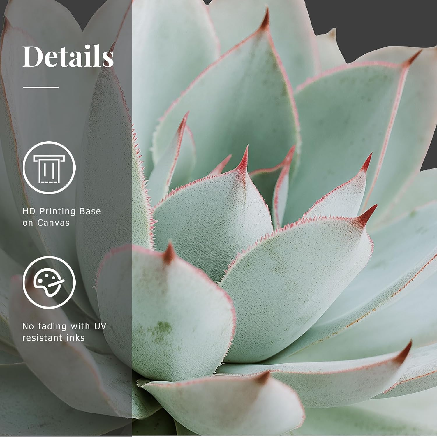 Zessonic Succulent Wall Art,Nature Plant Echeveria Wall Decor,12"x16"x3 | Nature Plant Echeveria Cactus Wall