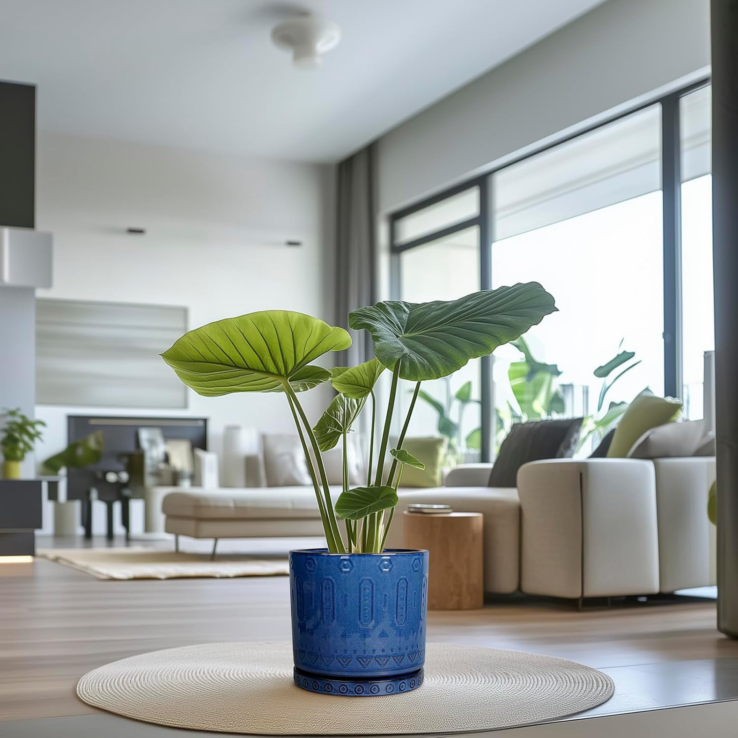 Eightpot 12 Inch Pot for Plants - Ceramic Planter for Indoor Plants Large Plant Pot with Drainage Holes and Saucer