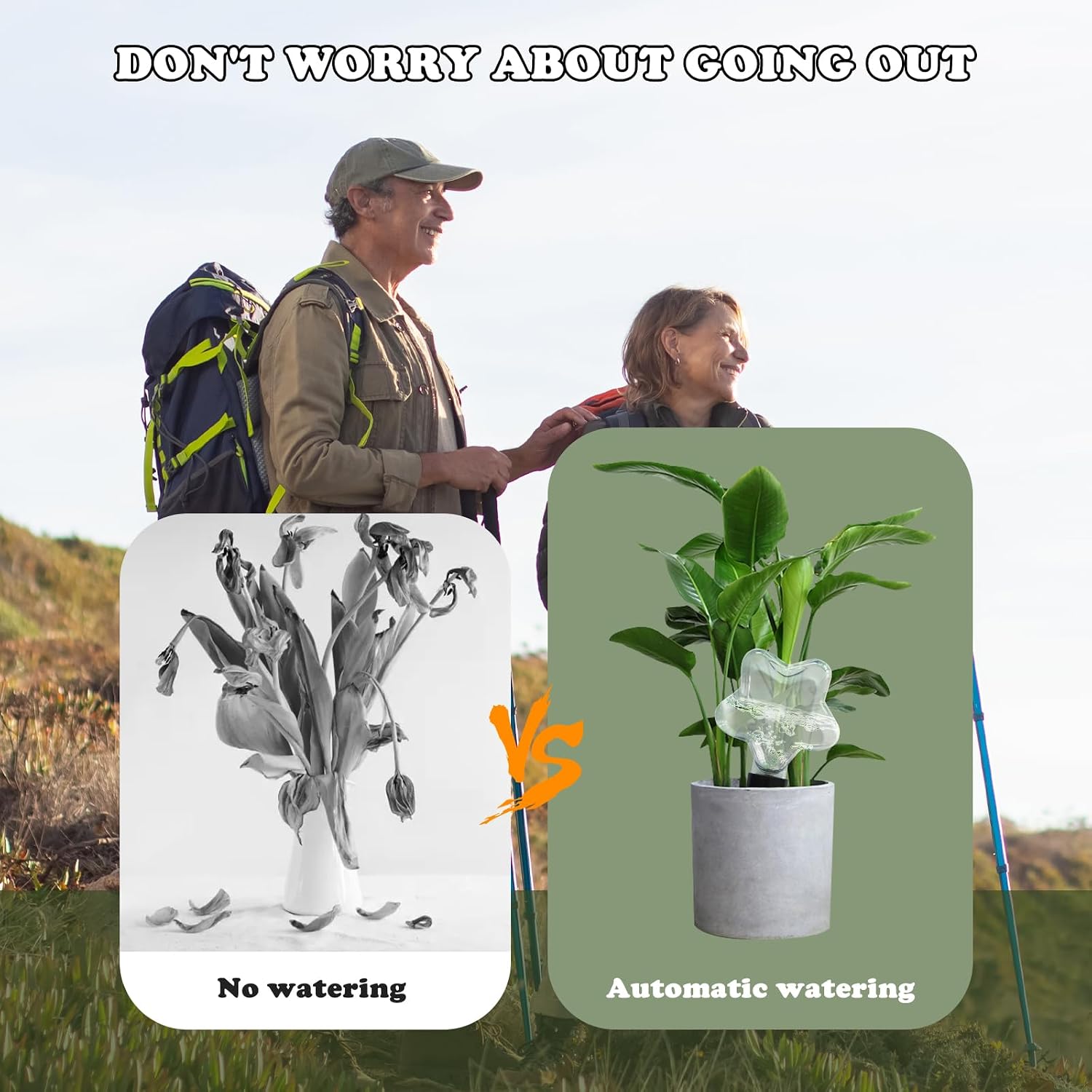 Star-Shaped 7.04oz/200ml Plant Watering Globes - 6 Self Watering Globes for Outdoor ＆ Indoor Plants