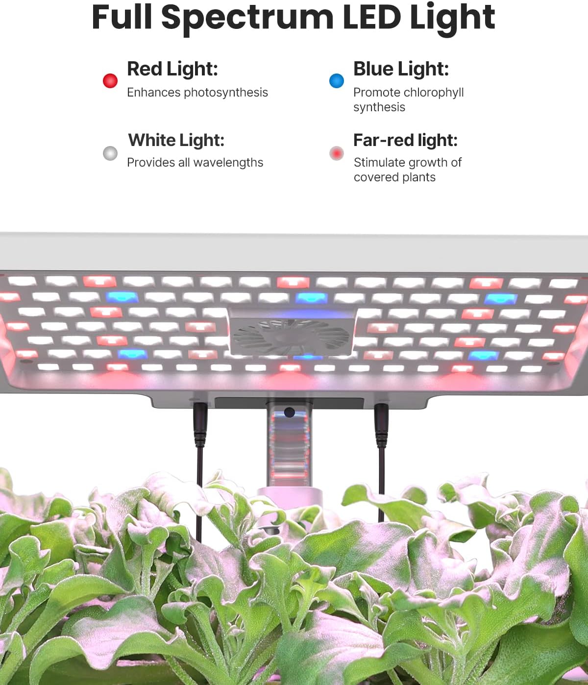 iDOO 12 Pods Hydroponics Growing System with 6.5L Water Tank, Hydro Indoor Herb Garden Up to 14.5", Plant Germination