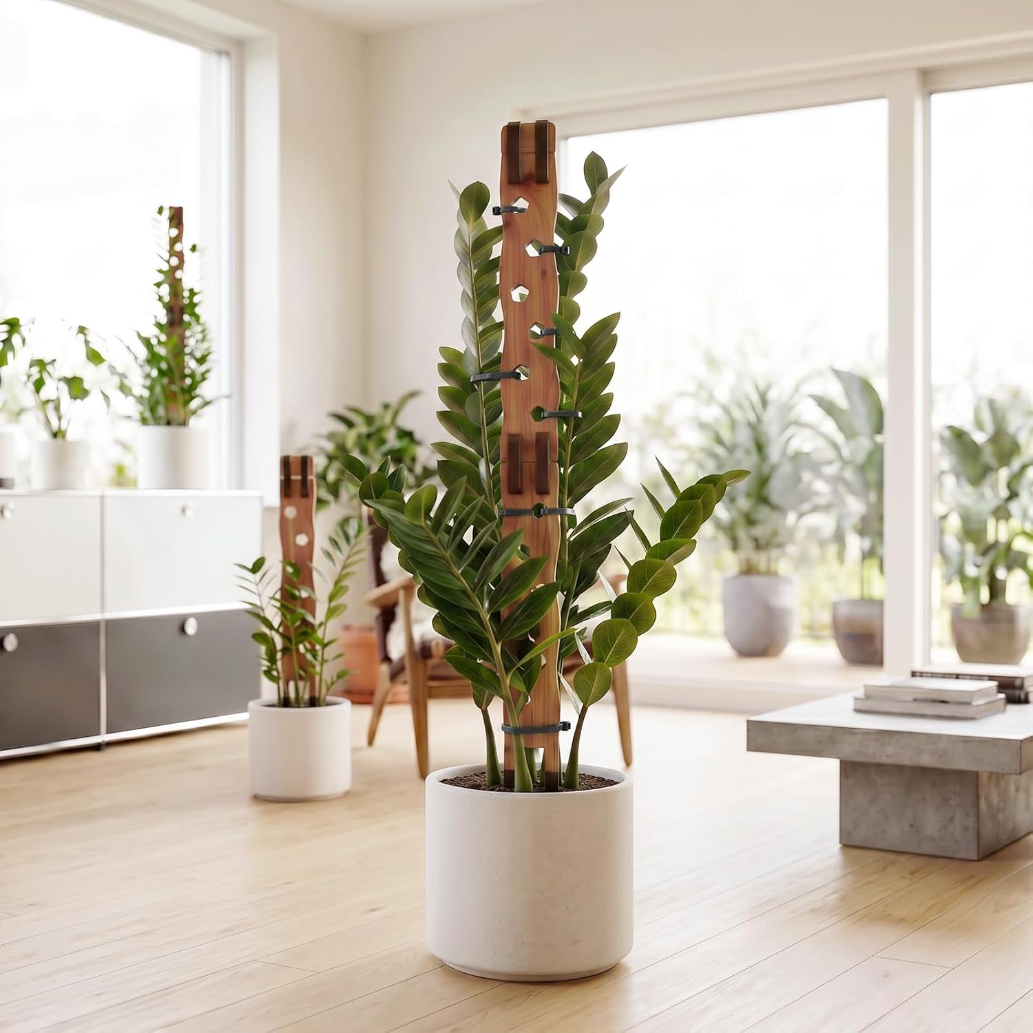 Wooden Extendable Plant Trellis for Potted Plants Indoor, 4 Sets | Expandable Plant Support for Monstera, Pothos &