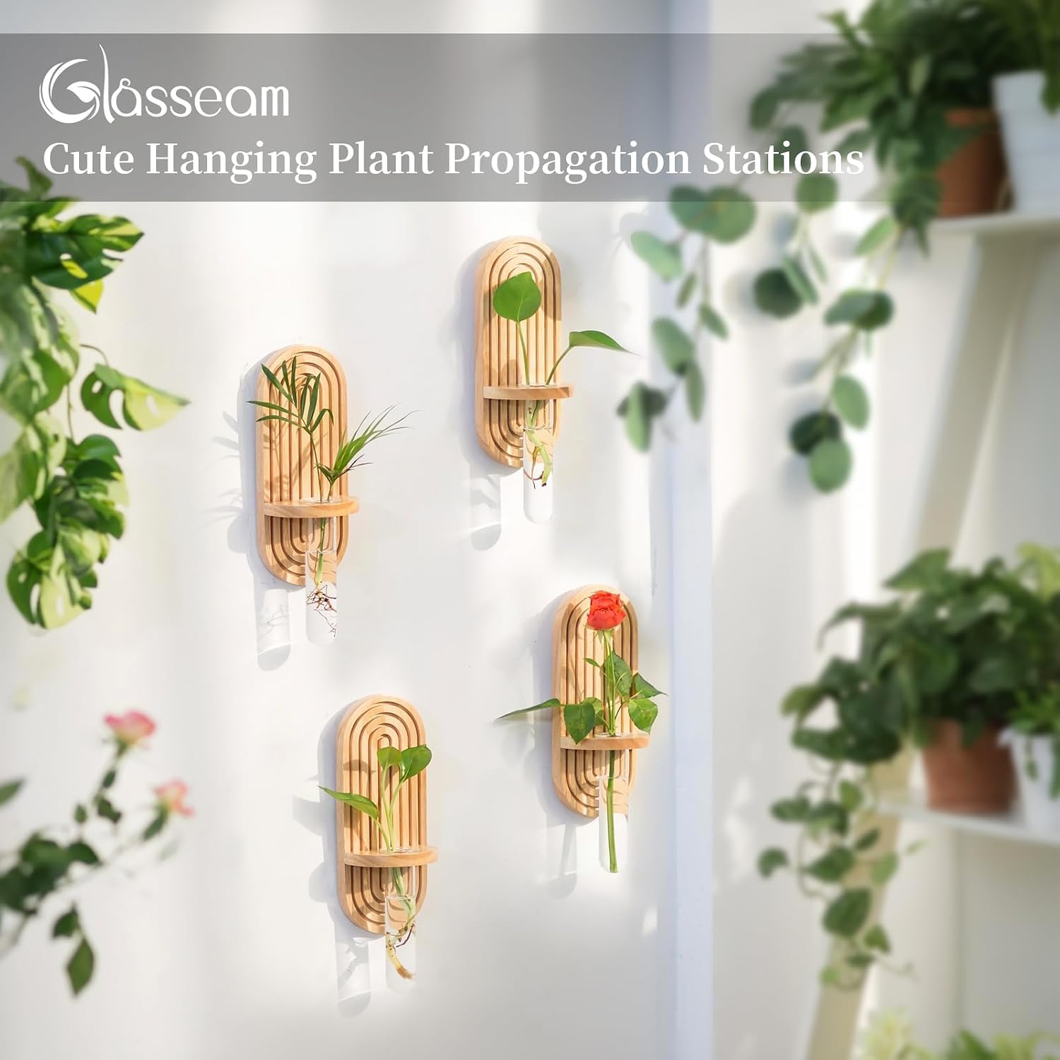 Glasseam Wall Plant Propagation Station: Hanging Glass Propagation Vases | Set of 3, Boho, Rustic Wooden Hydroponic