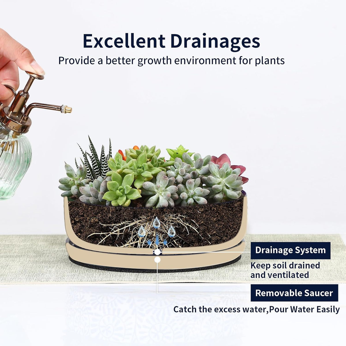 Selamica Ceramic Succulent Pots, Shallow Succulent Planters with Drainage Hole & Saucer, Indoor Plant Pots for Cactus