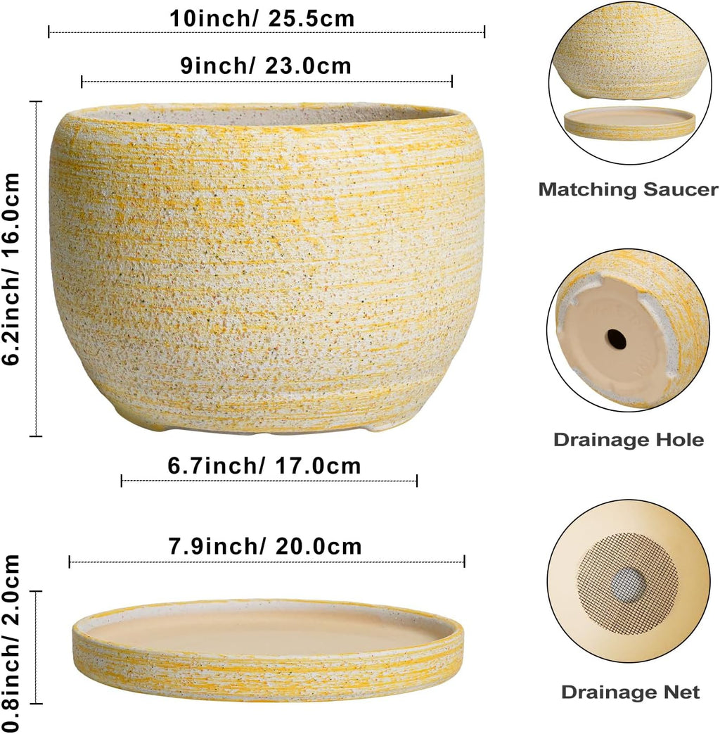 SQOWL Ceramic Planters for Indoor Plants - 10 Inch Plant Pot with Drainage Hole and Saucer, Round Ceramic Flower Pot