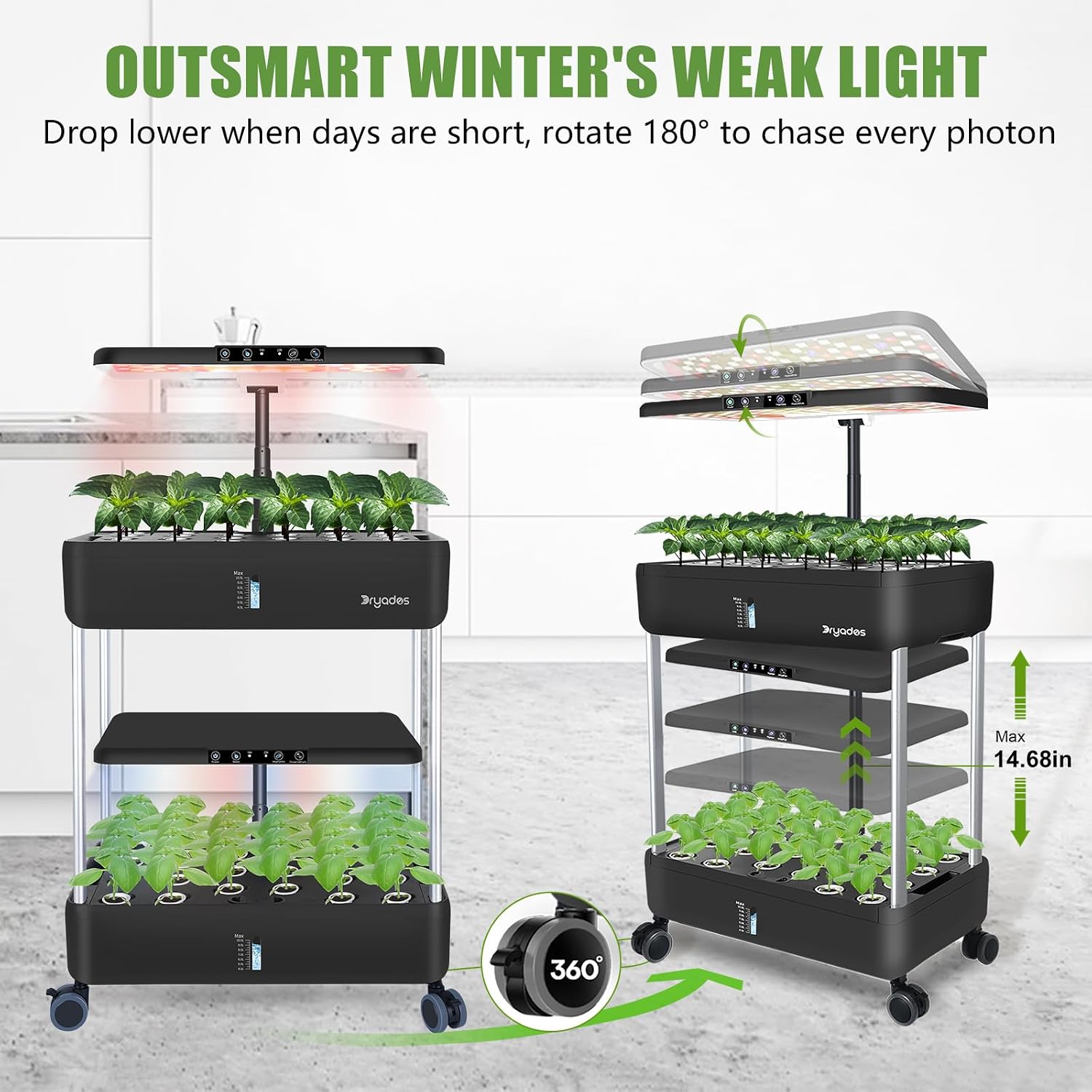 Large Hydroponics Growing System Kit,44-Pod with 3 Seed Packs | Includes Basil, Buttercrunch Lettuce & Gourmet Salad