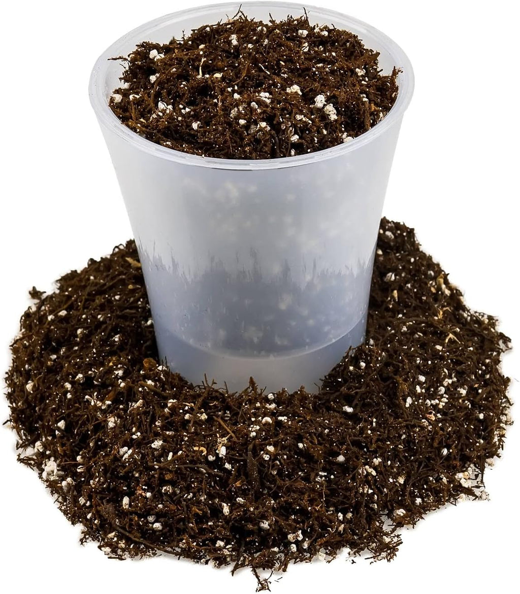 Fern + Perlite Soil Mix - 10 Quart - for Repotting and Planting Succulents and Cactuses (2 Bags of 5 Quart)