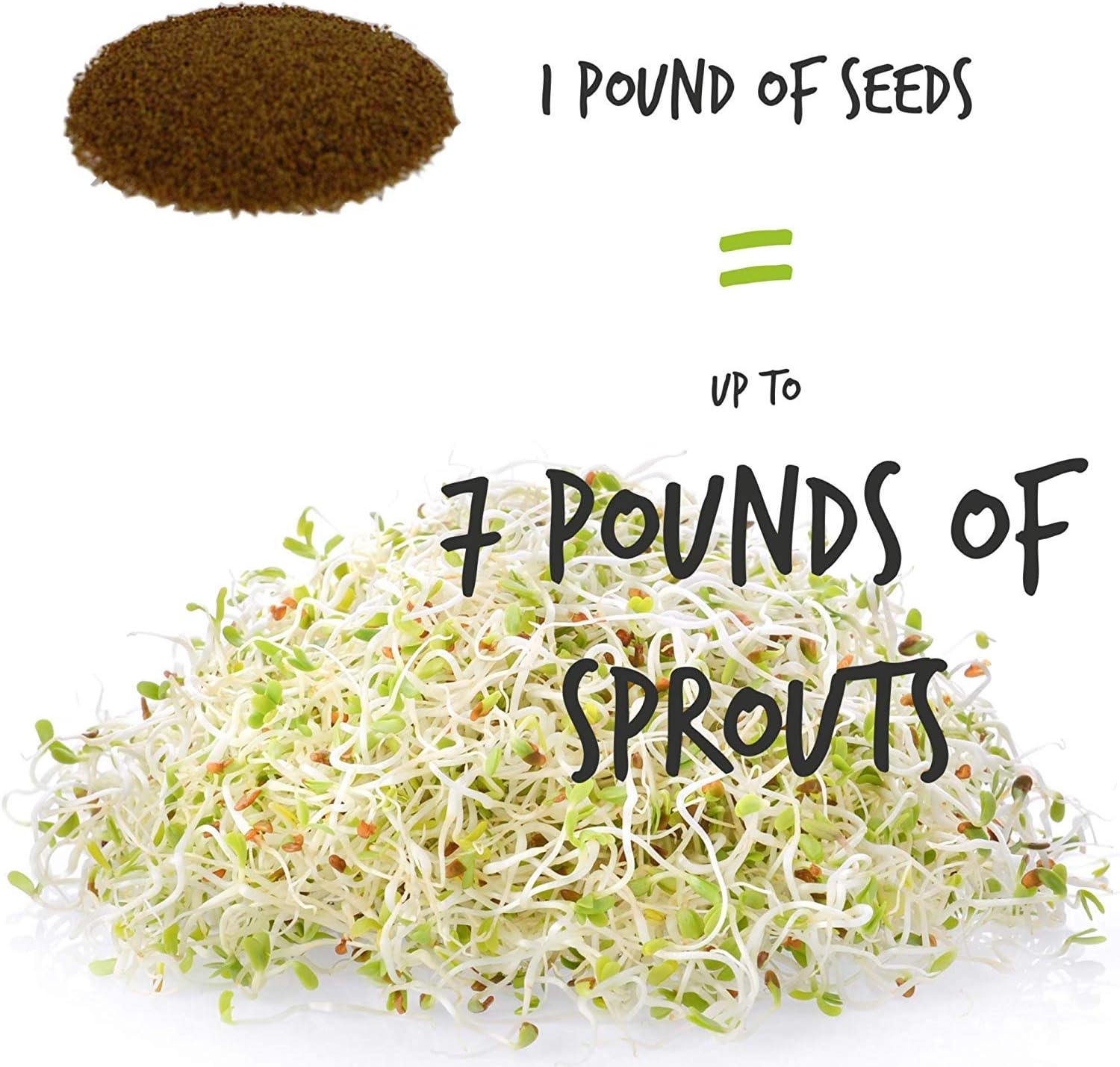 Handy Pantry Certified Organic Alfalfa Sprouting Seed 2.5 Lbs High Sprout | Germination- Gardening, Growing Salad
