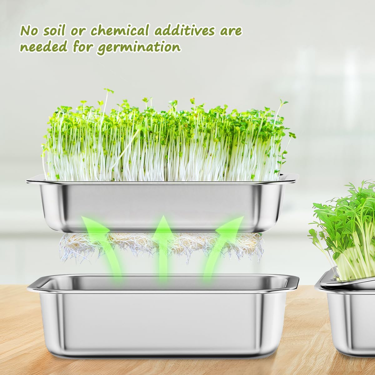 FANHAO 2-Pack Sprouting Tray Kit, Stainless Steel Soil-Free Cultivation Germination Tray, Healthy Wheatgrass Grower