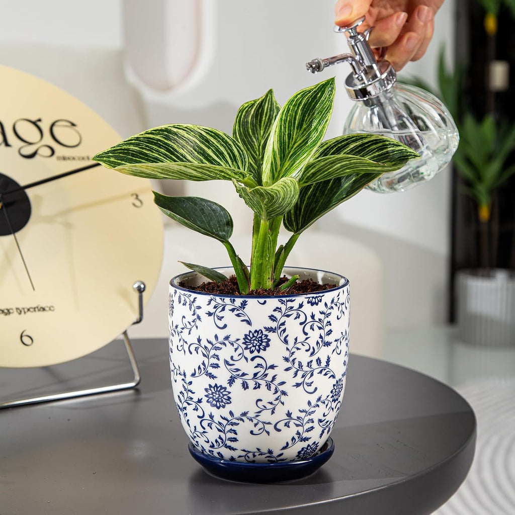 4.6 Inch Ceramic Small Succulent Planter Pots Set of 4 | Flower Pot with Drainage Holes and Saucers for Indoor Plant