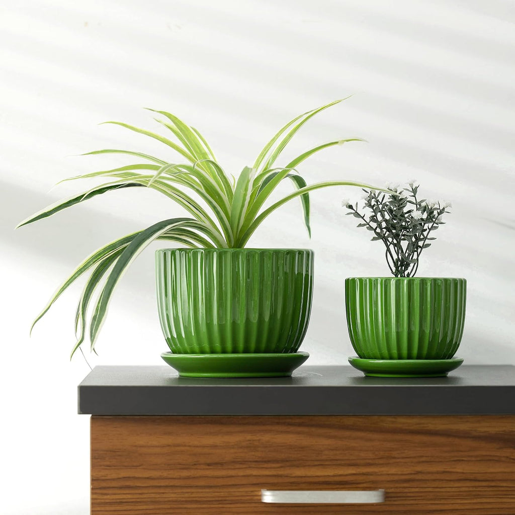 Green Plant Pots,Ceramic Planters with Drainage Holes & Saucers Set of 3 | Planters for Indoor Plants | Small Succulent