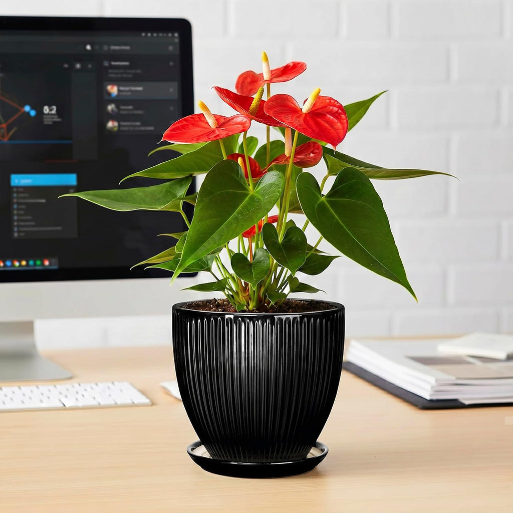 6 Inch Ceramic Planter, Indoor Plant Pots for Small Plants, Decorative Flower Pots with Drainage Hole and Saucer, Round