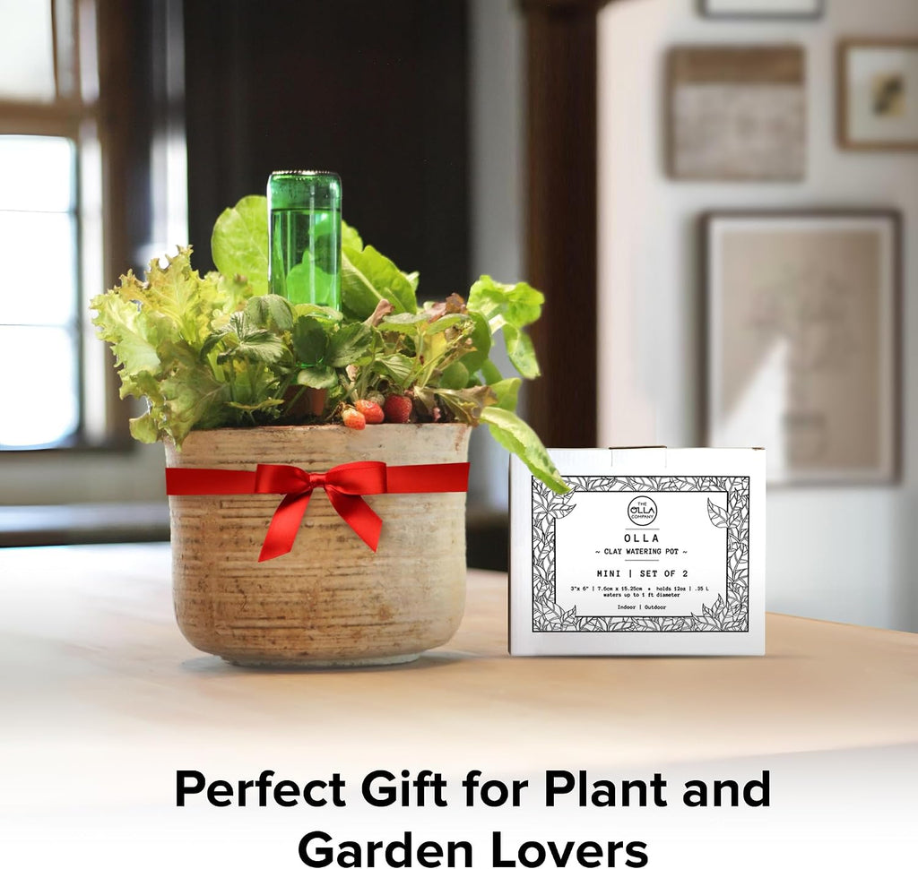 Olla Watering Pots with Lids, Terracotta Mini 2 Pack | Waters plants up to 1 ft in diameter; for gardens, raised beds