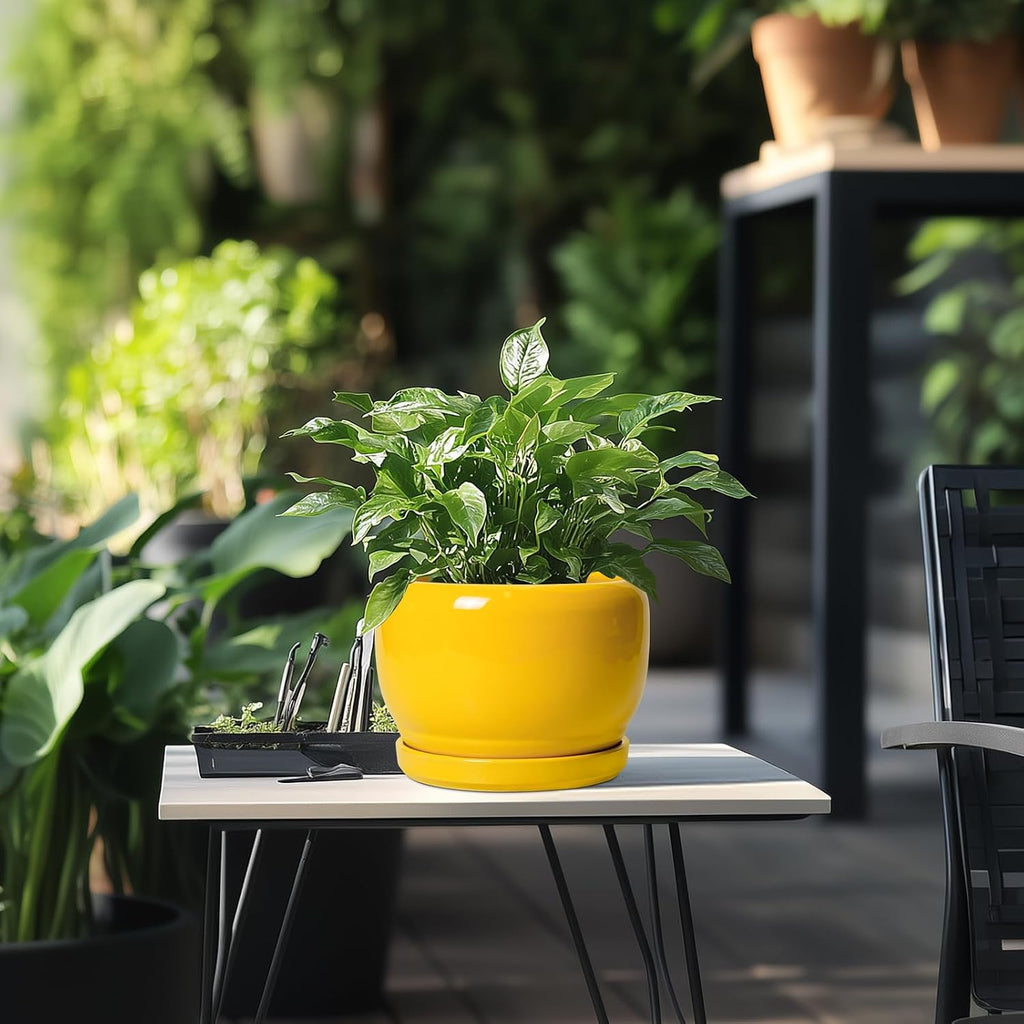 SQOWL Ceramic Plant Pot - 8 Inch Planter for Indoor Outdoor, Decorative Plant Pot with Drainage Hole and Saucer, Modern