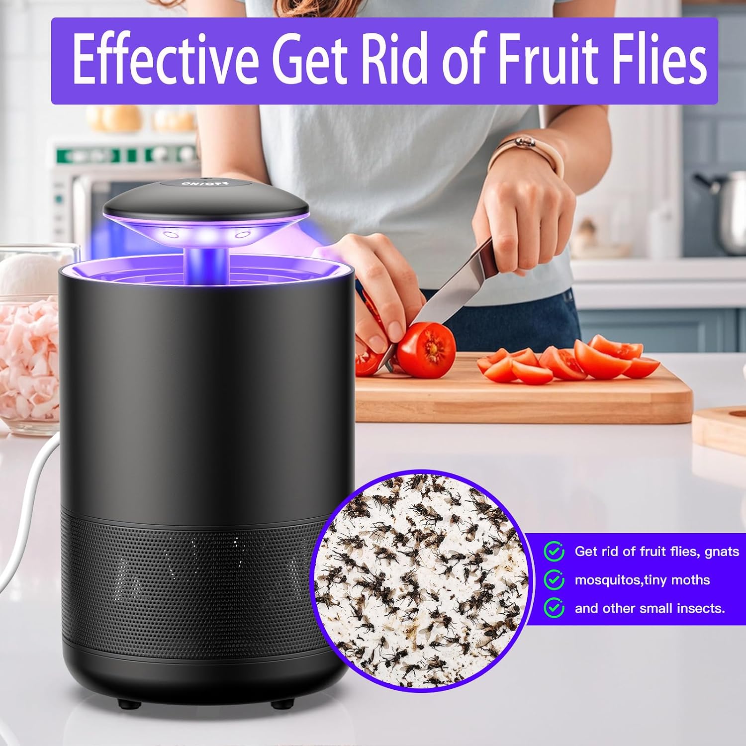 Indoor Mosquito Trap Fruit Fly Insect Control with Suction & Sticky Boards | Fan Catcher for Gnat, Moth, Flies, etc.