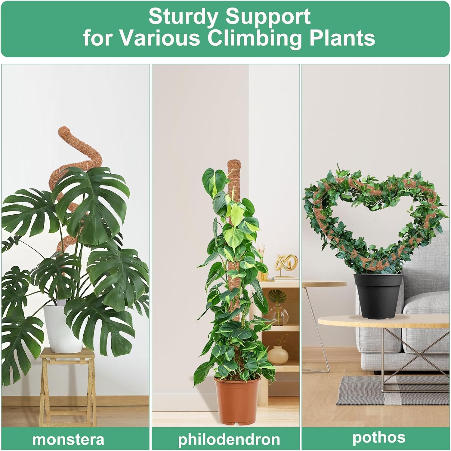 3 Pack Moss Pole, 50 Inch Monstera Plant Support, Tall Moss Poles for Climbing Plants Indoor DIY, Coco Coir Plant Pole