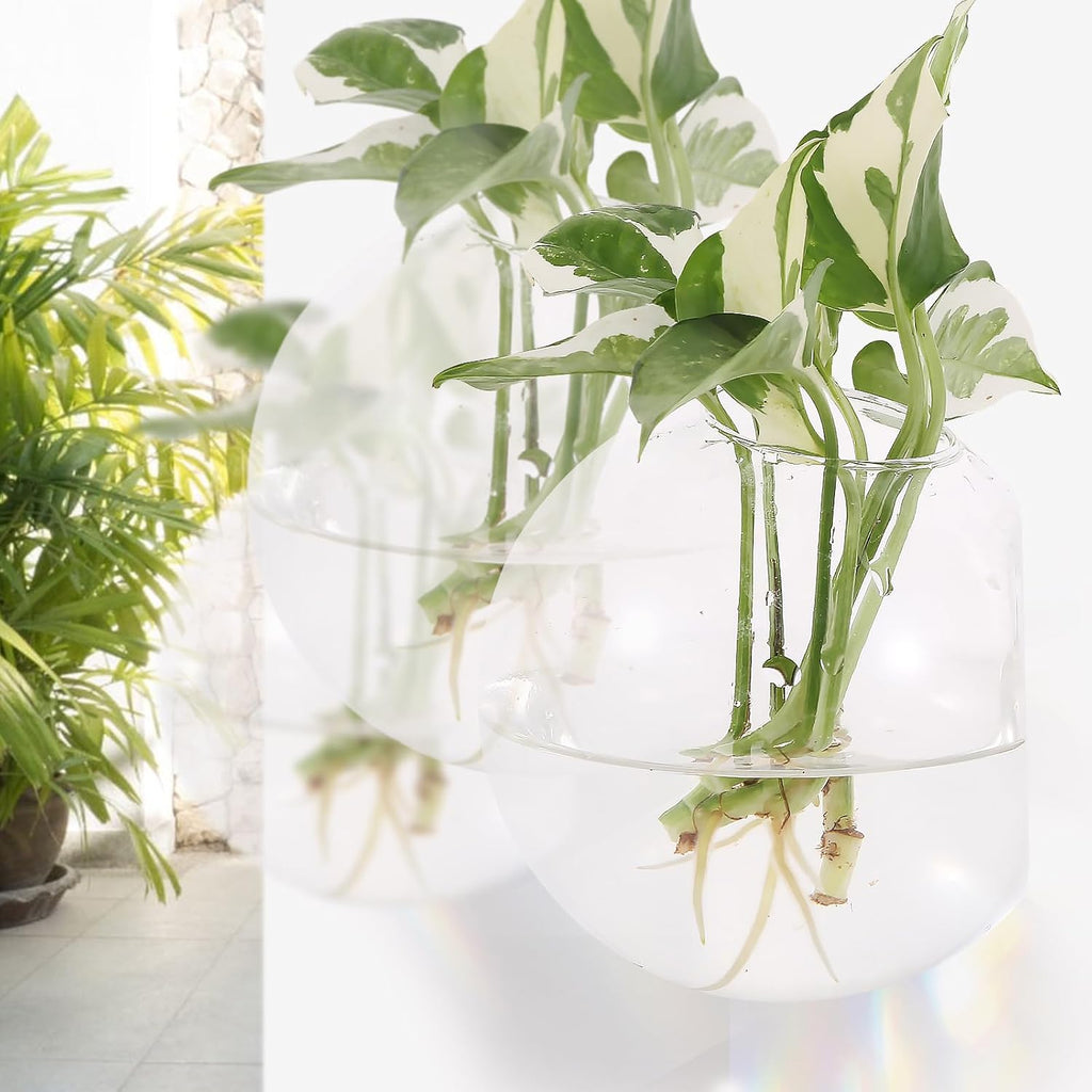 Hanging Wall Planters Pack of 6 Glass Plant Pots Round Wall Vases for Flowers Hanging Propagation Station Glass Plant