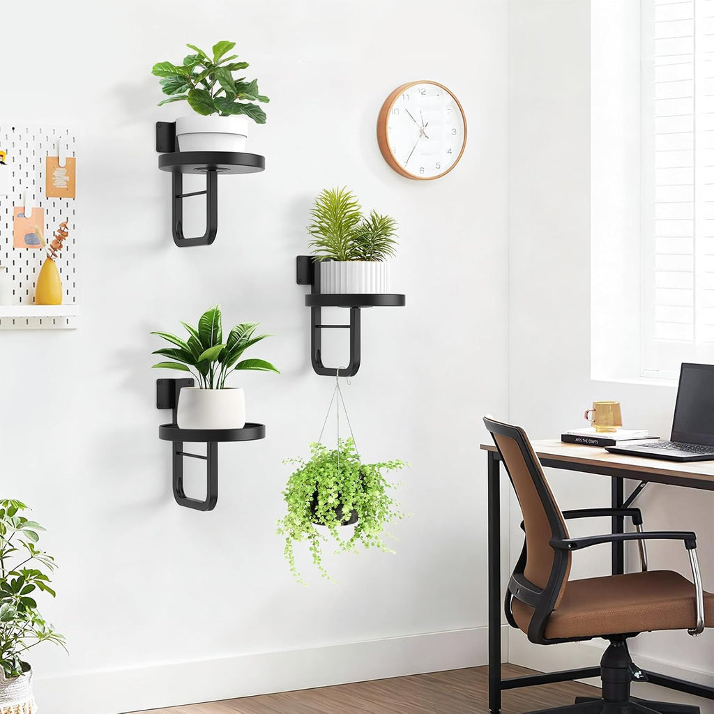 Wall Plant Holder, 7.9 Inch Large Hanging Plant Holder Wall Planters for Indoor Plants, Wall Mounted Plant Holder