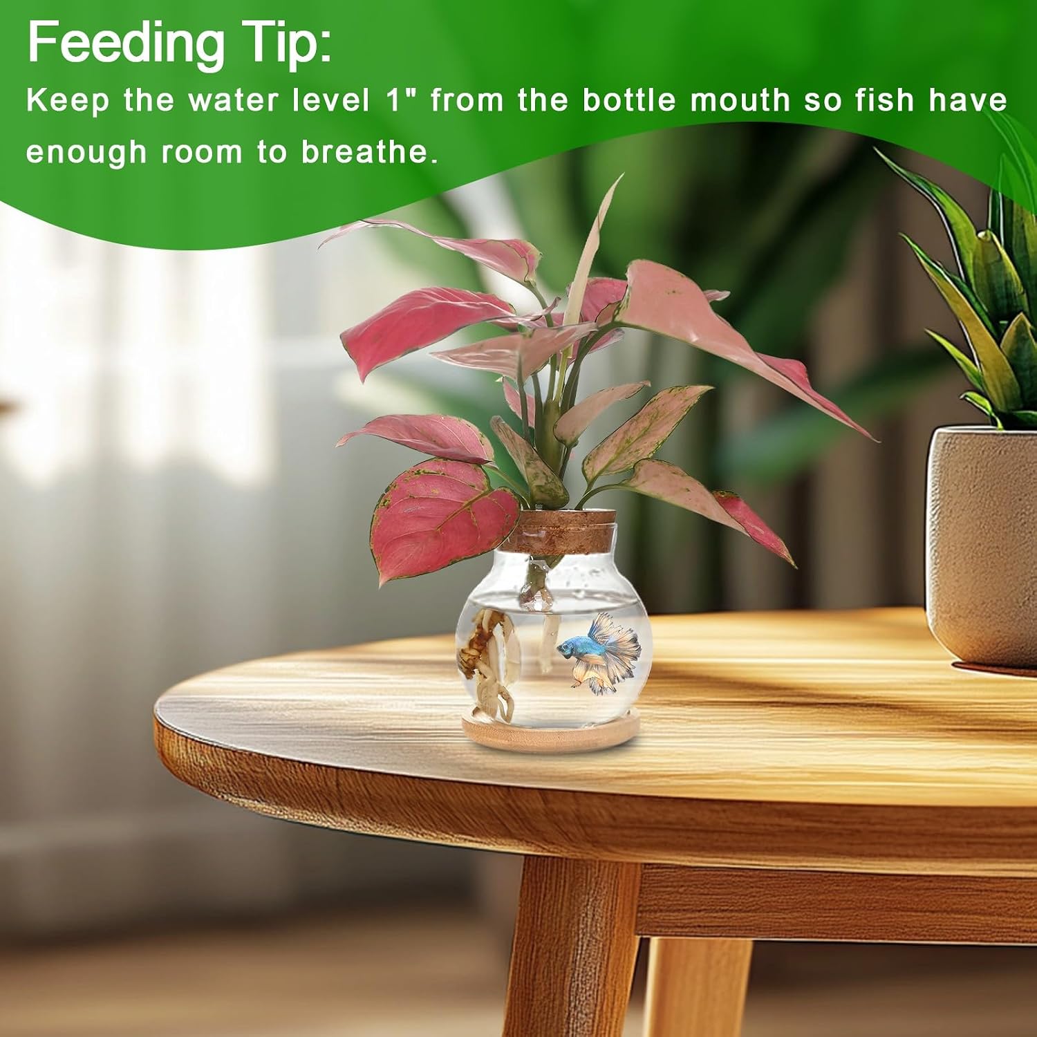 Plant Propagation Station,Hydroponic Glass Container Vase Jars, with Wooden Saucer for Desks, Houses, Garden