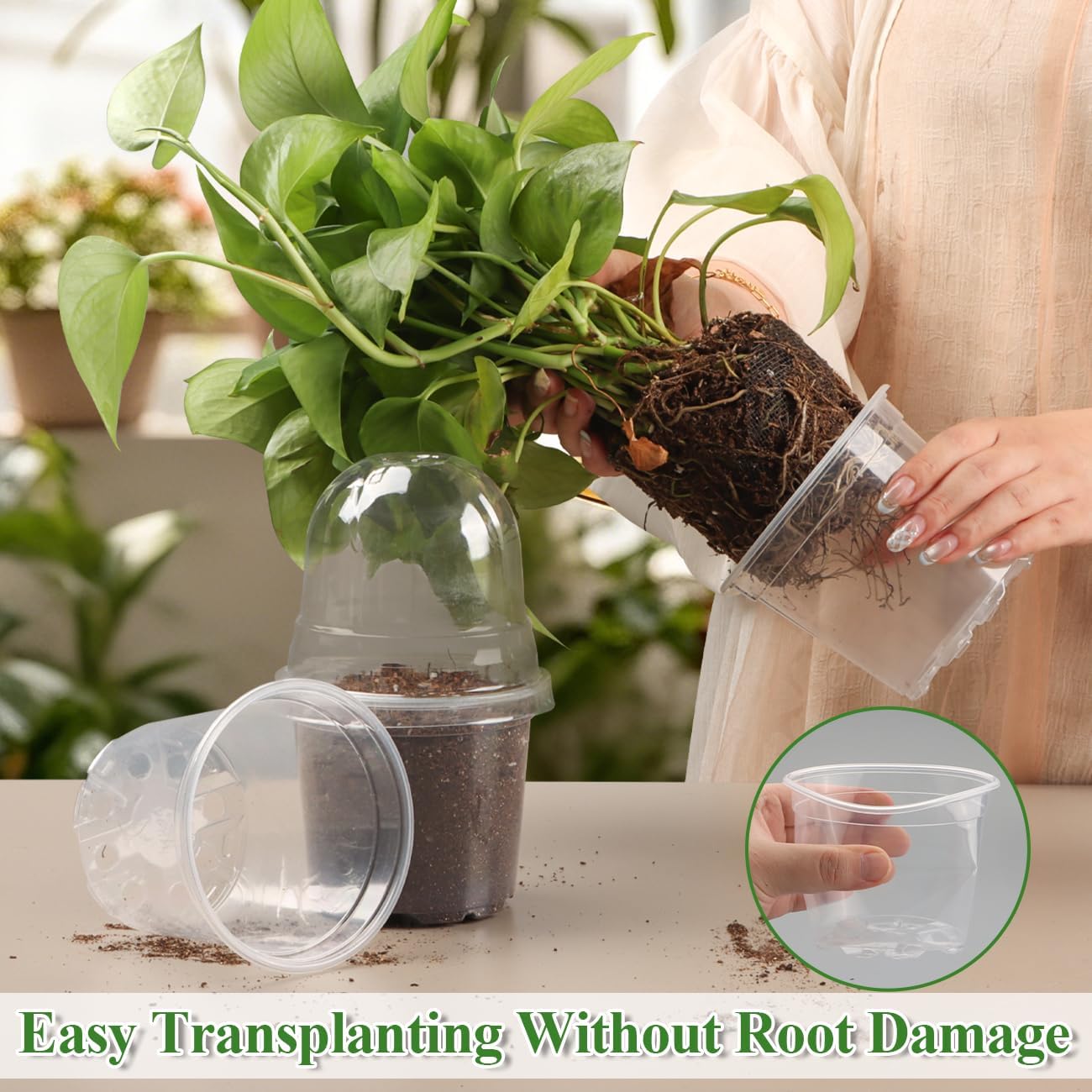 RooTrimmer 60 Pack Clear Nursery Pots with Humidity Domes, 4 Inch Plastic Plant Pots with Drainage Holes for Seedlings