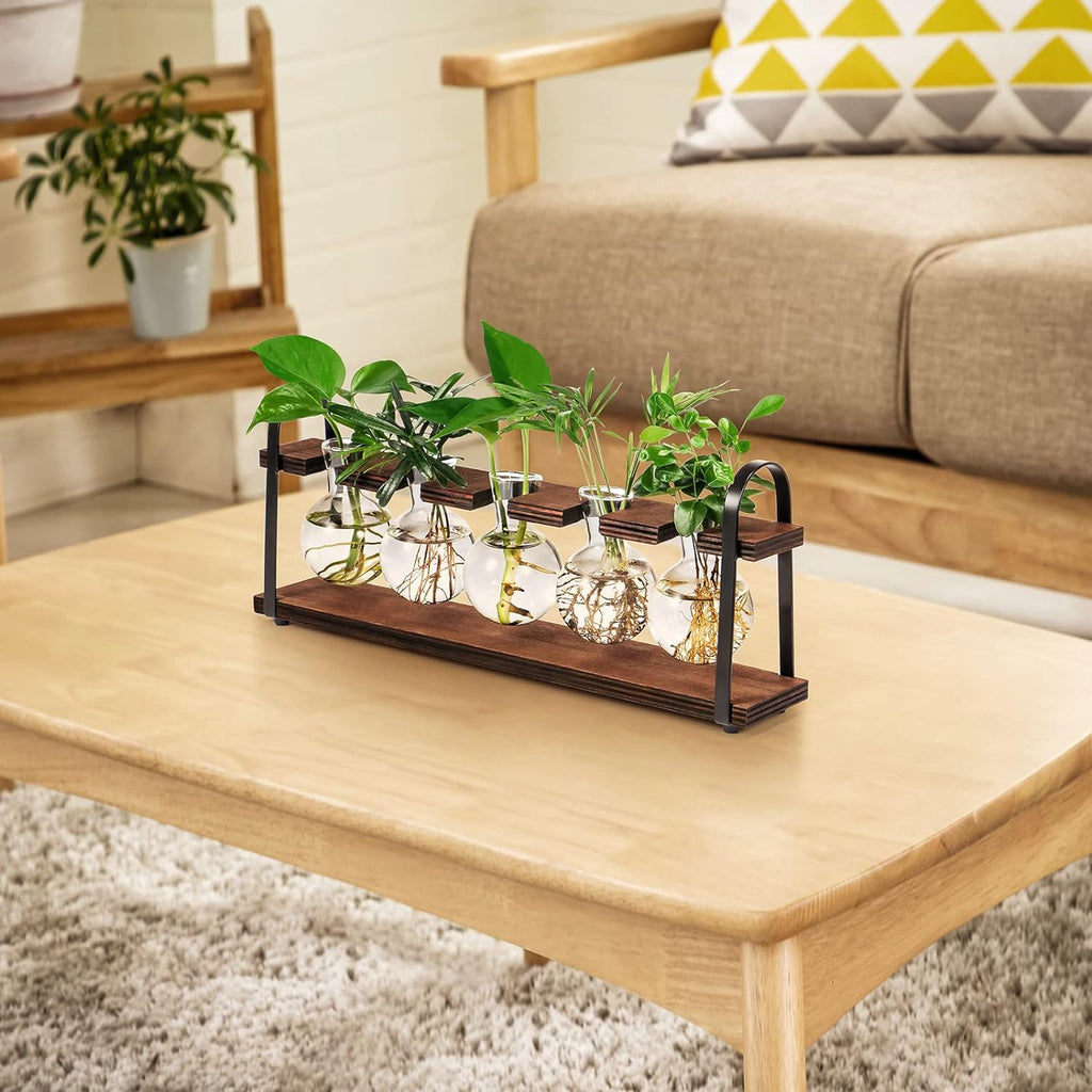 THYGIFTREE Plant Propagation Stations with Wooden Stand | Desktop Retro Plant Terrarium, Bulb Vase for Indoor