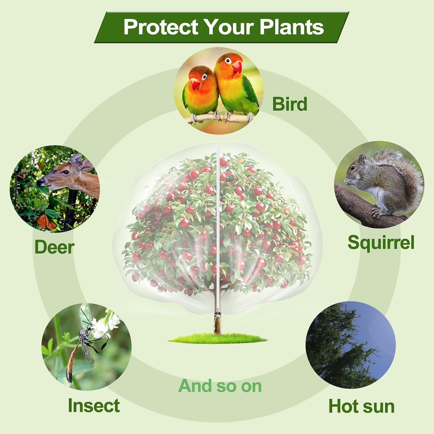5-Pack 10 * 10FT Fruit Netting Bags for Fruit Trees, Bird Netting Safeguard Apple Trees and Blueberry Bushes from
