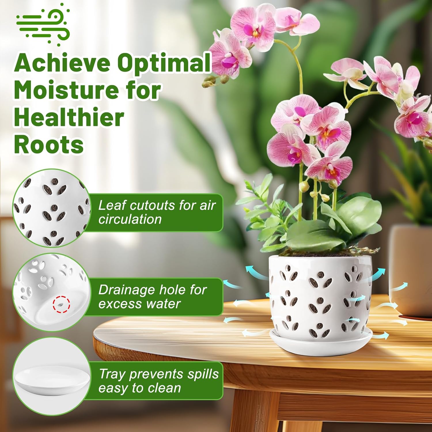 REMIAWY Orchid Pot, 2 Pack Orchid Pots with Drainage Holes and Saucer, 6 Inch and 5 Inch Large Ceramic Planter for