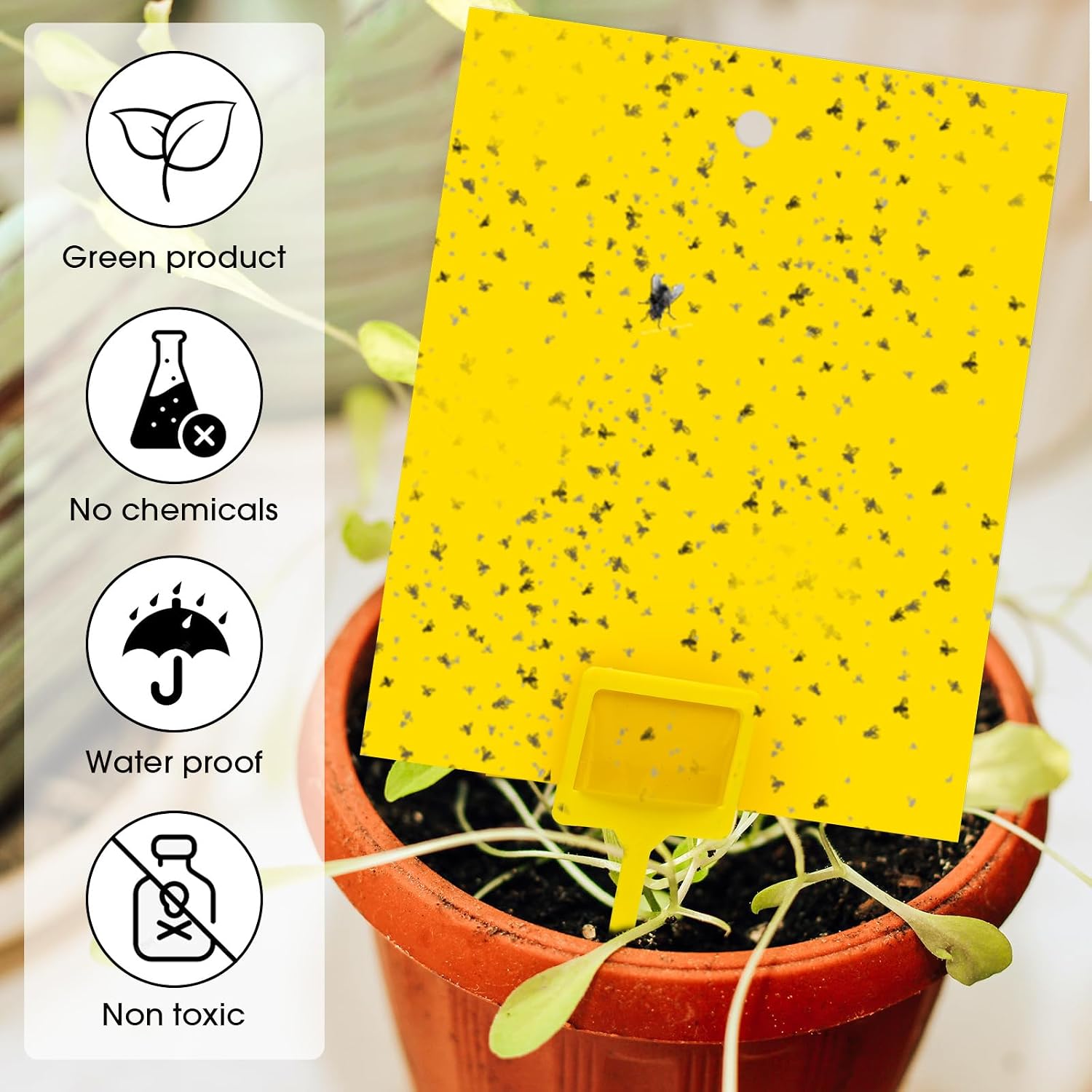 Qualirey 220 Pcs 7.87 x 9.84 Inch Yellow Sticky Traps for Plant Gnats Dual Sided Fruit Fly Sticky Traps for Indoor