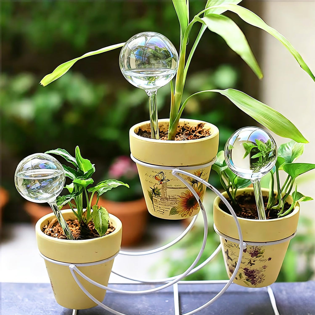 Self Watering Globes for Plants, Large 6pcs Glass Garden Self Watering Bulb | Up to 5 Days of Irrigation Self Watering